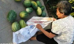 吃瓜最新事件爆料临夏,揭秘吃瓜群众最新热议事件