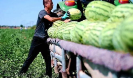 莱芜区吃瓜最新事件爆料,揭秘背后惊人真相！